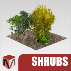 m-SHRUBS