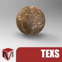 m-TEXS